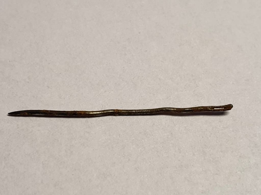 La imagen tiene un atributo ALT vacío; su nombre de archivo es aguja.jpg